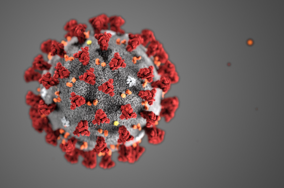 COVID-19 PANDEMİSİNDE ARİTMİ HASTALARININ DİKKAT ETMESİ GEREKEN HUSUSLAR NELERDİR?